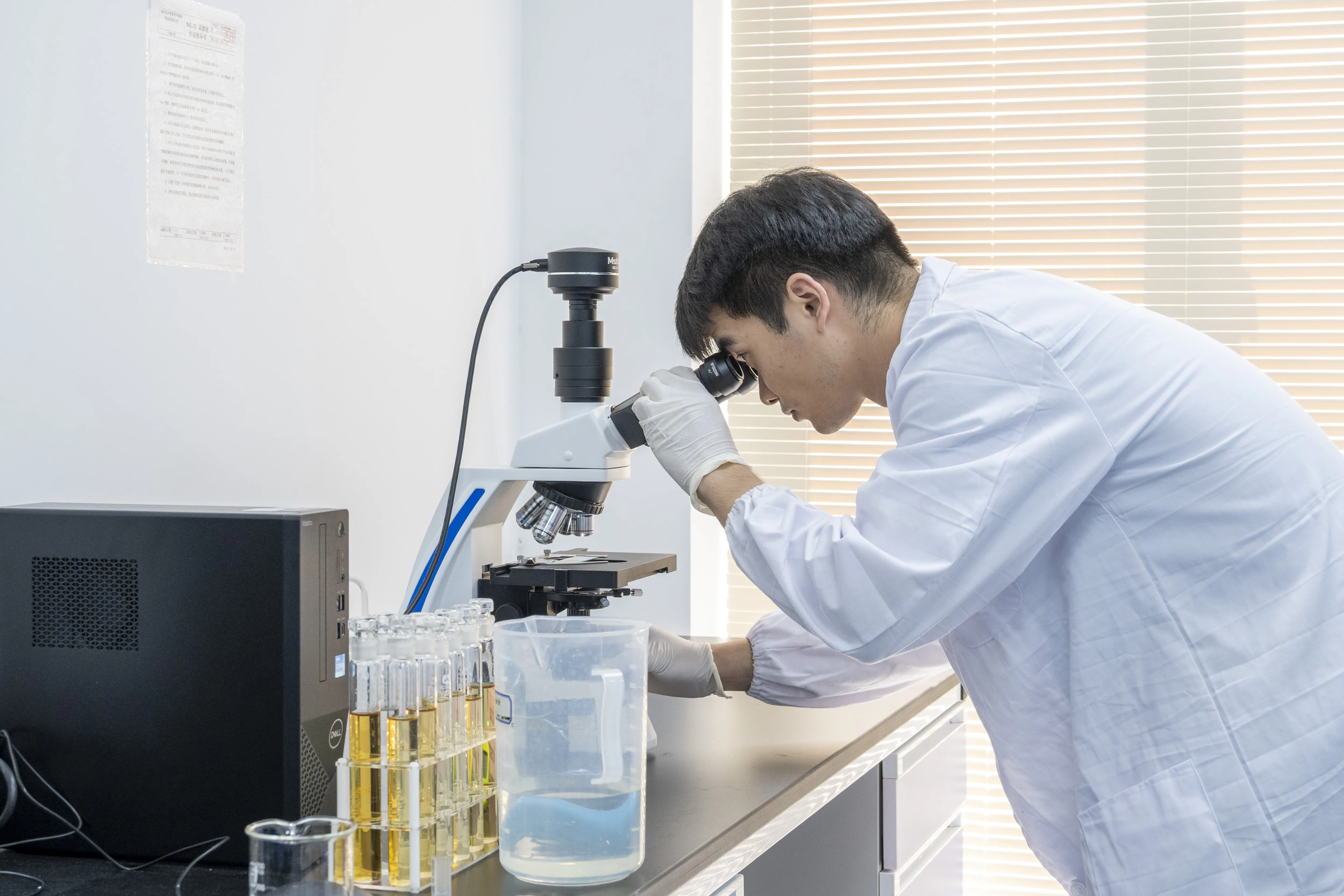 Laboratory Team